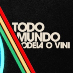 TodoMundoOdeiaOVini avatar