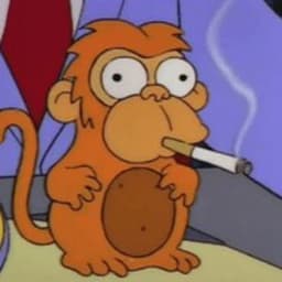 hombreharry avatar