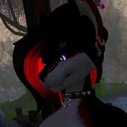 radiorabbit0 avatar