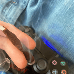 fatwoodz_dave420 avatar
