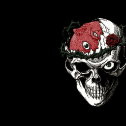 fuujiitora avatar