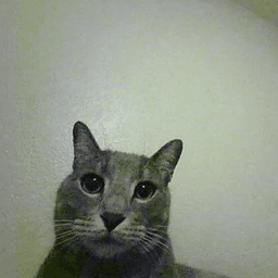 oByzpi avatar