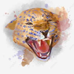 TPEHEP69 avatar