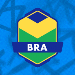teambrazilow avatar
