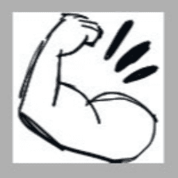 USHHDota avatar