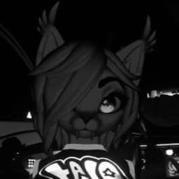 VioletShyVR avatar