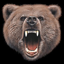 Bear_OCE avatar