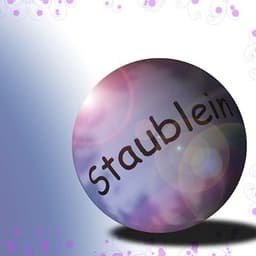 Staublein avatar