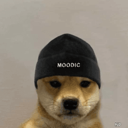 evilmoodic avatar