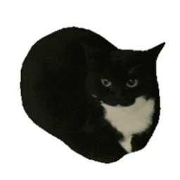 CrimsonJoa avatar