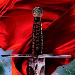 valkyrie6767 avatar