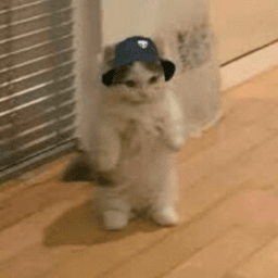 icecaaat avatar