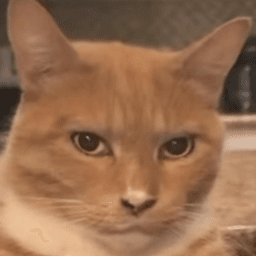 greatmemecat avatar