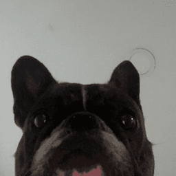 rezzztre avatar