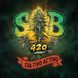 CultivoActivo420ar avatar