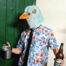 acalfrente avatar