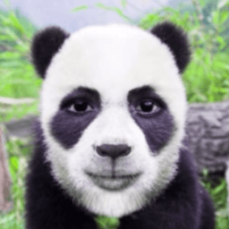 airatov avatar