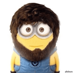 xapachh avatar