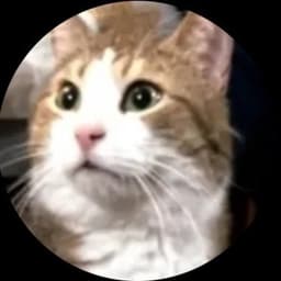 ThatOneLittleEvilCat_Matt avatar