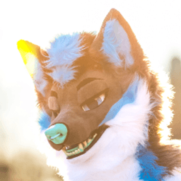 KobiiHusky avatar