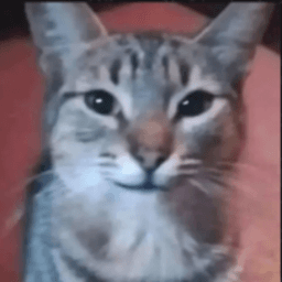 Miguezdude avatar