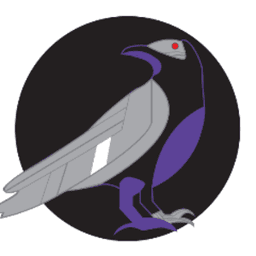 notkingeli avatar