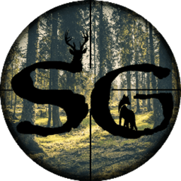 Skylee_Gaming avatar