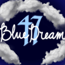 BlueDream47 avatar