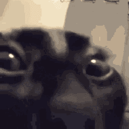 Tizneda avatar