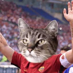 Gattolo avatar