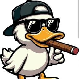 Duckz_Rules23 avatar