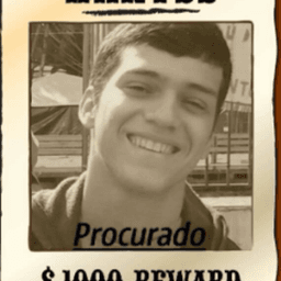 feroxzinn avatar