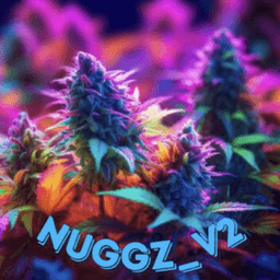 Nuggz_V2 avatar