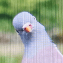 TheTruBirbShow avatar