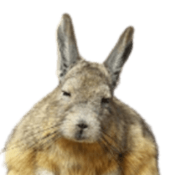 ASublimeSquelching avatar