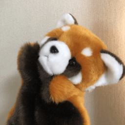 BontaArai avatar