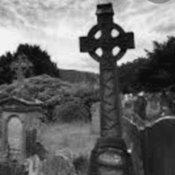 friedhof666 avatar