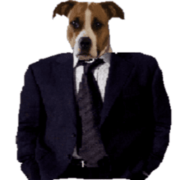 DoggieDaBoyYGO avatar