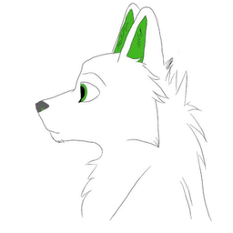 KankosWolf avatar