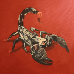 Cr4zyScorpion avatar