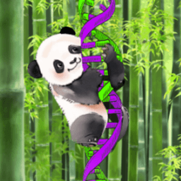 Helix420Panda avatar