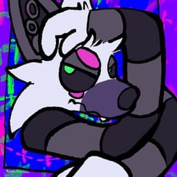 Foxiboio_streams avatar
