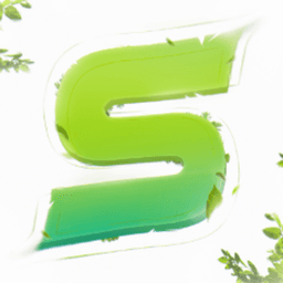 SALM1NN avatar