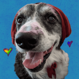 caligator_luv avatar