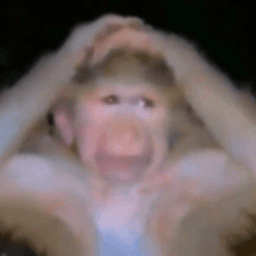 Hispec_ avatar
