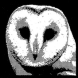 owl_rust1 avatar