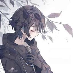 sedif_44 avatar