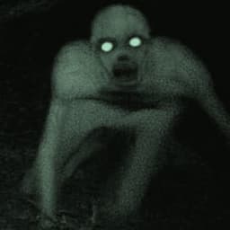 seddrin_ avatar