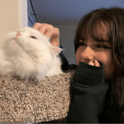 meowerlyn avatar