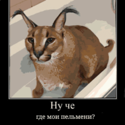 JustFloppatheCatYT avatar